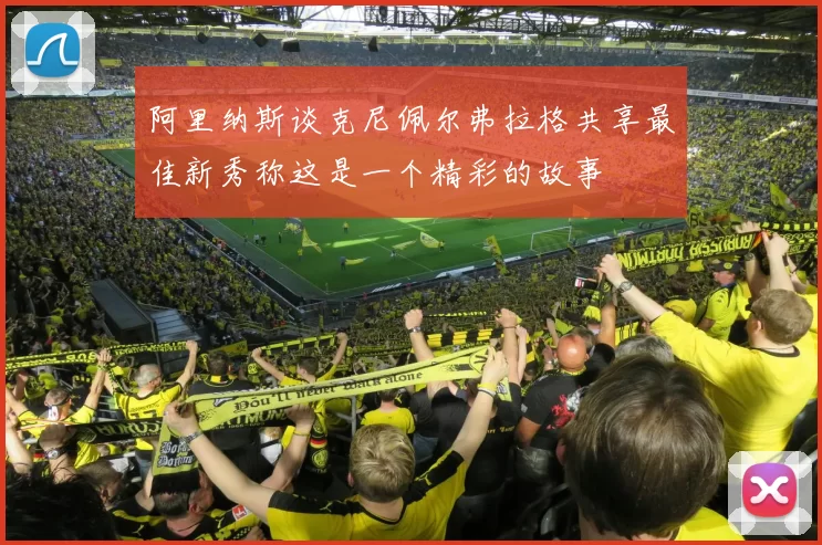 阿里纳斯谈克尼佩尔弗拉格共享最佳新秀称这是一个精彩的故事