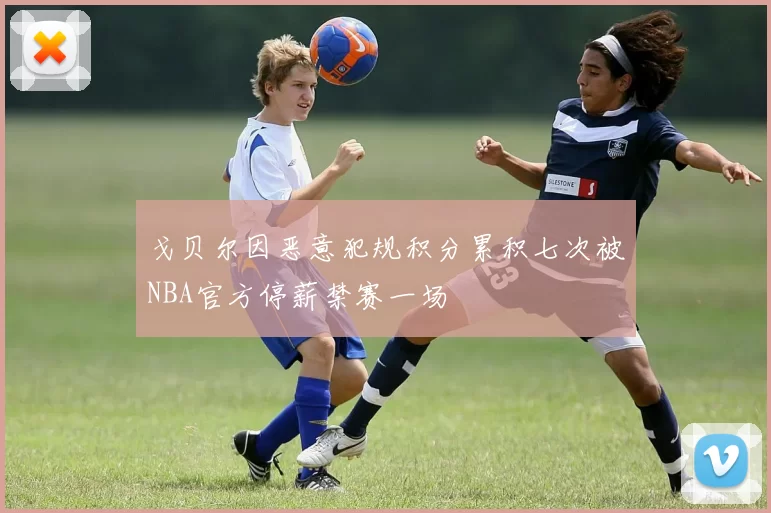戈贝尔因恶意犯规积分累积七次被NBA官方停薪禁赛一场