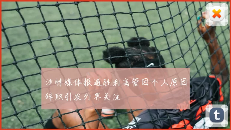 沙特媒体报道胜利高管因个人原因辞职引发外界关注